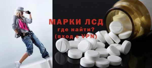 винт Губаха