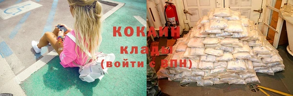 бошки Осинники