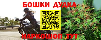 молекула духа Гусев