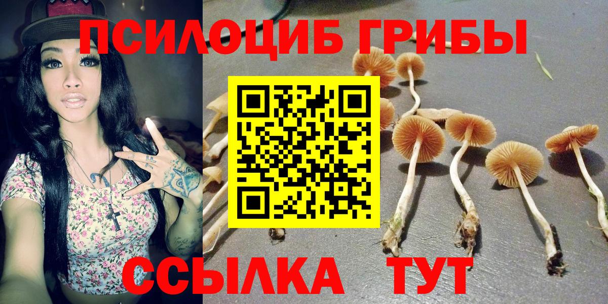Отрадное  Галлюциногенные грибы MAGIC MUSHROOMS  Вход с VPN  Галлюциногенные грибы мухоморы 