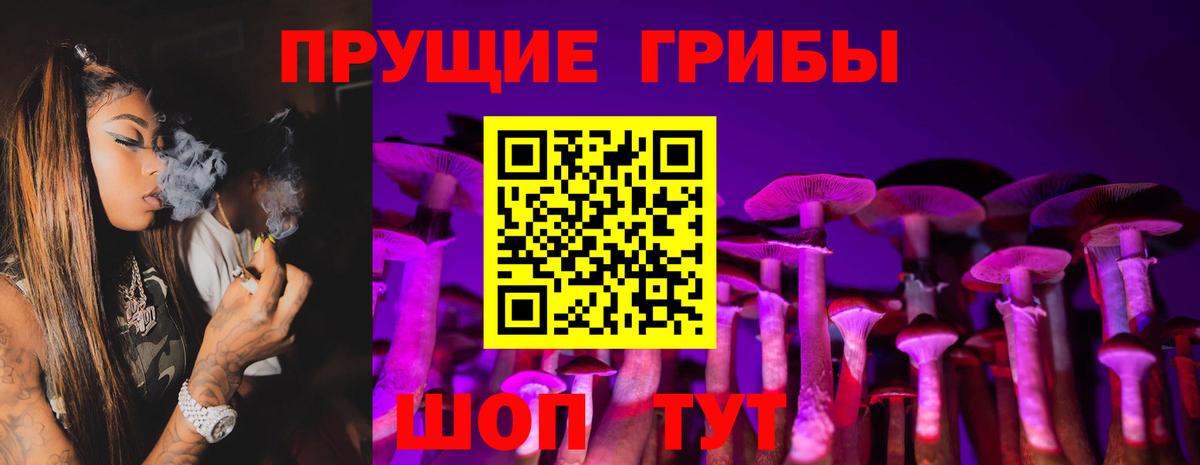 Псилоцибиновые грибы Psilocybine cubensis Отрадное